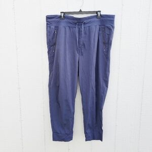 Athleta Trekkie North Jogger Pant Athleisure Blue Size 20